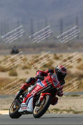 media/Apr-10-2022-SoCal Trackdays (Sun) [[f104b12566]]/Turn 5 Tree of Life (1040am)/